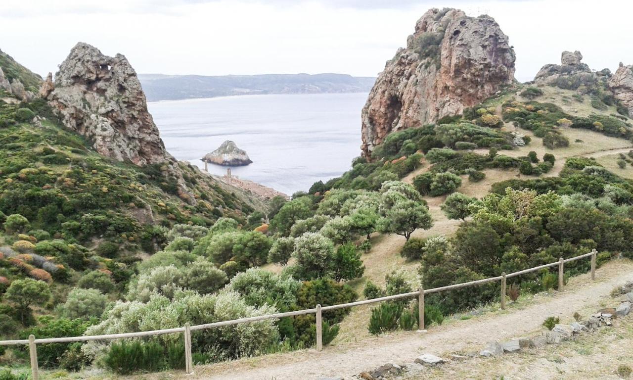 La Terrazza Fiorita Βίλα Nebida Εξωτερικό φωτογραφία